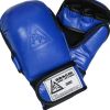 Leather Gracie Sparring Gloves (5.5oz) Photo 1